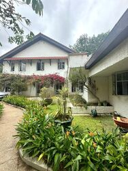 Bin Tong Park (D10), Detached #441820521